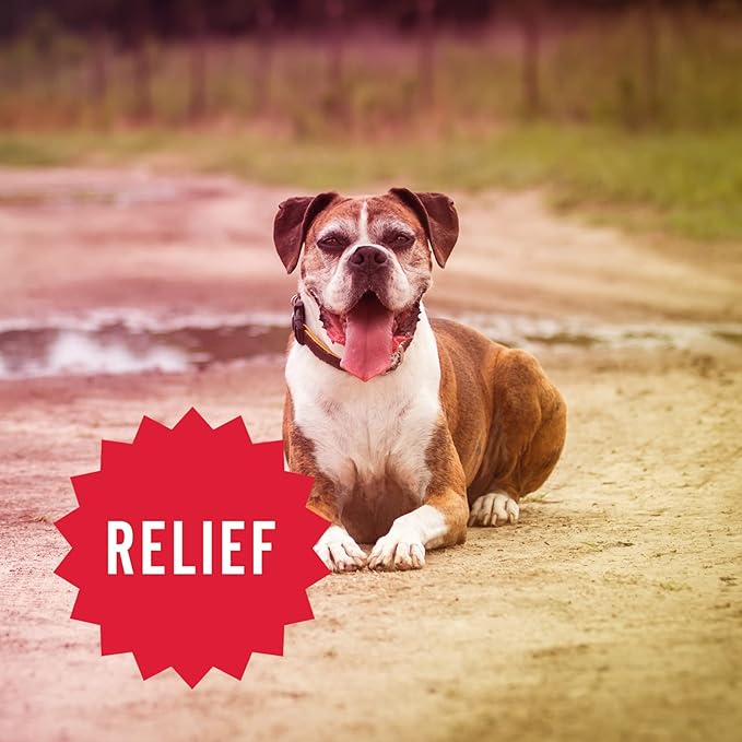 Hemp Well Hemp Relief Dog Soft Chews – Supports Joint Health in Dogs and - Image 6