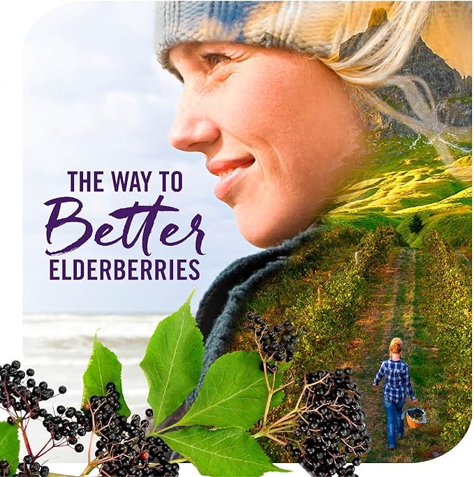 Nature's Way Sambucus Elderberry Immune Syrup - Image 8