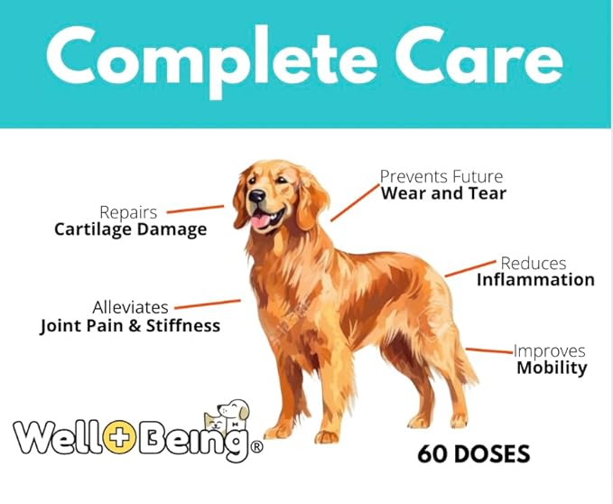 Well-Being for Dogs Joint Health Supplement, Contains Glucosamine, Plus - Image 4