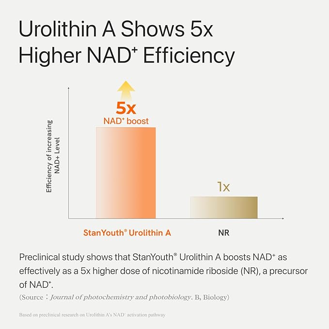 Gynable Patented Urolithin A NAD+ Complex, Nicotinamide | Trans-Resveratrol & - Image 4