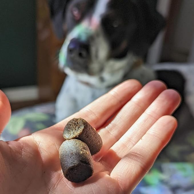 Hemp Well Hemp Relief Dog Soft Chews – Supports Joint Health in Dogs and - Image 3