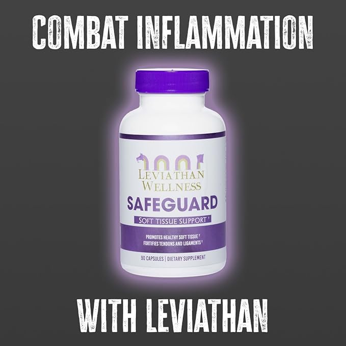 Safeguard - Joint and Soft Tissue Support - Image 4