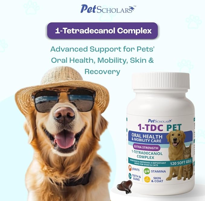 1TDC Dental & Joint Health Softgel Supplement - Image 6