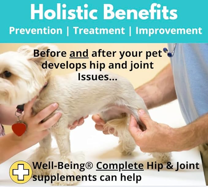 Well-Being for Dogs Joint Health Supplement, Contains Glucosamine, Plus - Image 7