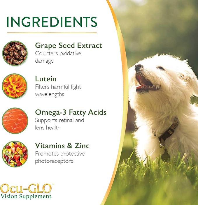 Ocu-GLO Vision Supplement for Medium to Large Dogs - Image 4