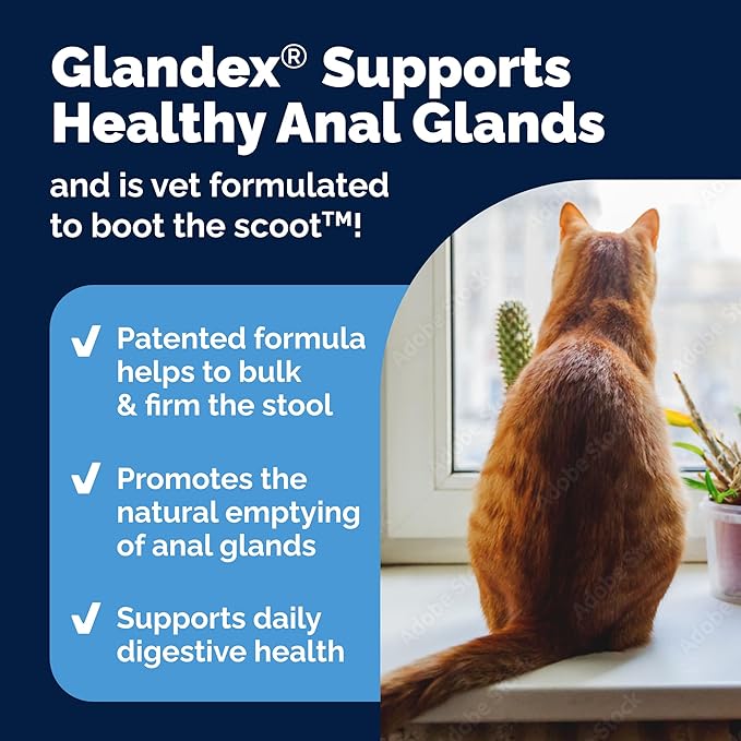 Vetnique Glandex Feline Anal Gland or Daily Probiotic Fiber Supplement Powder - Image 5