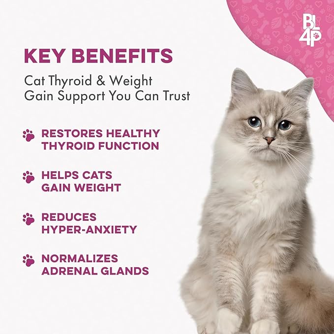 Cat Weight Gain & Hyperthyroidism Treatment, Safe and Effective Cat Appetite - Image 7