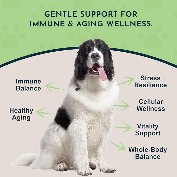 Animal Essentials LONGEVITY Reishi Mushroom Supplement - Image 3