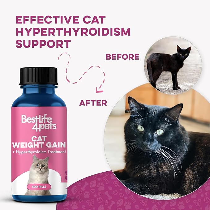 Cat Weight Gain & Hyperthyroidism Treatment, Safe and Effective Cat Appetite - Image 6
