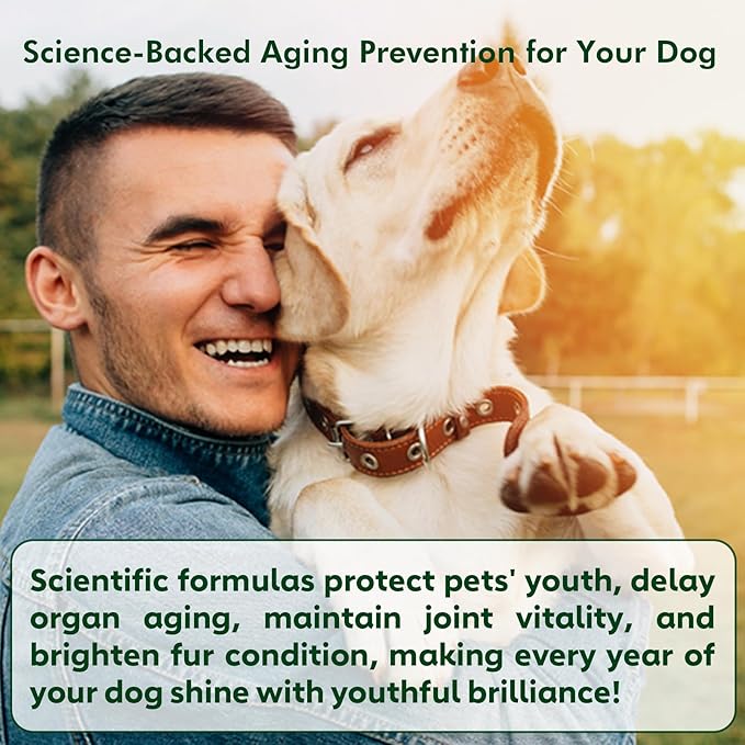 NMN Supplement for Dogs NAD+ Booster - Image 9