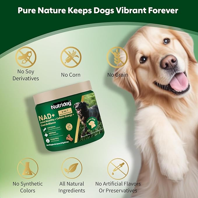 NMN Supplement for Dogs NAD+ Booster - Image 6