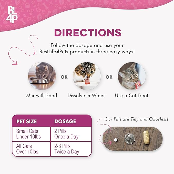 Cat Weight Gain & Hyperthyroidism Treatment, Safe and Effective Cat Appetite - Image 2