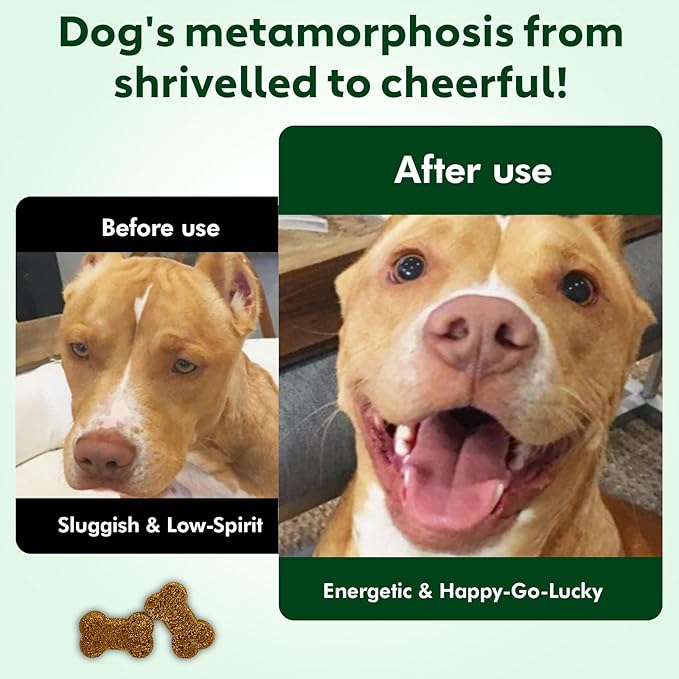 NMN Supplement for Dogs NAD+ Booster - Image 4