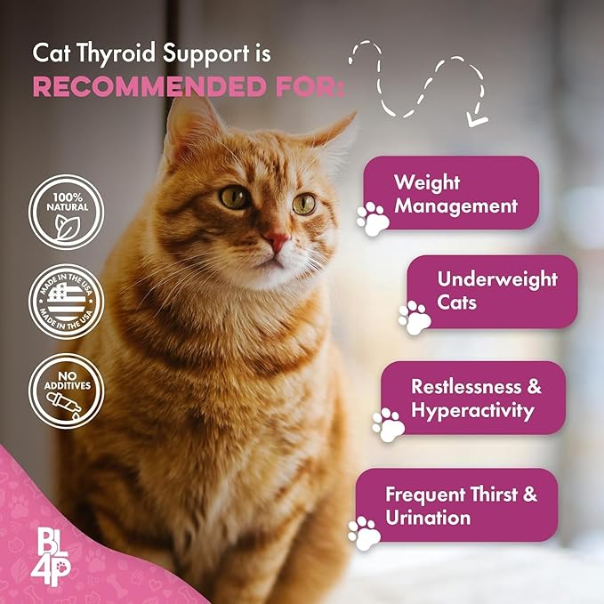 Cat Weight Gain & Hyperthyroidism Treatment, Safe and Effective Cat Appetite - Image 5
