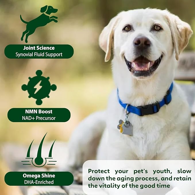 NMN Supplement for Dogs NAD+ Booster - Image 7