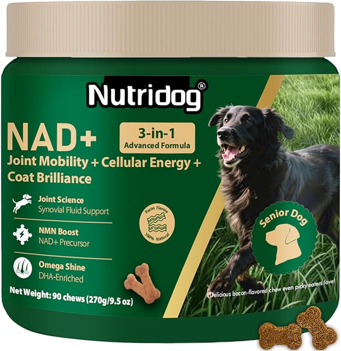 NMN Supplement for Dogs NAD+ Booster by Nutridog