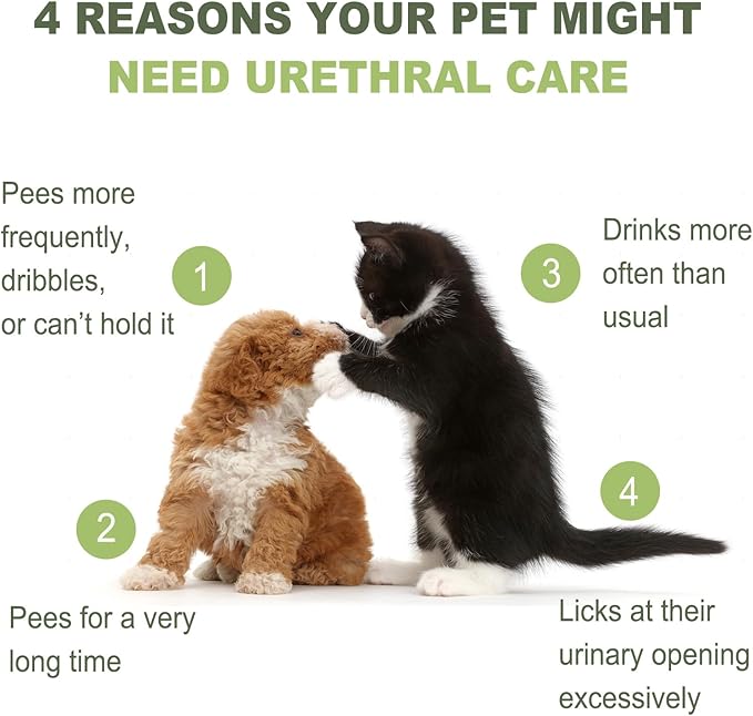 Urinary Health Liquid Supplement - Image 3