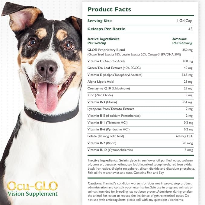 Ocu-GLO Vision Supplement for Medium to Large Dogs - Image 3