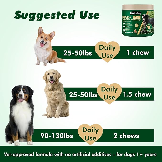 NMN Supplement for Dogs NAD+ Booster - Image 8