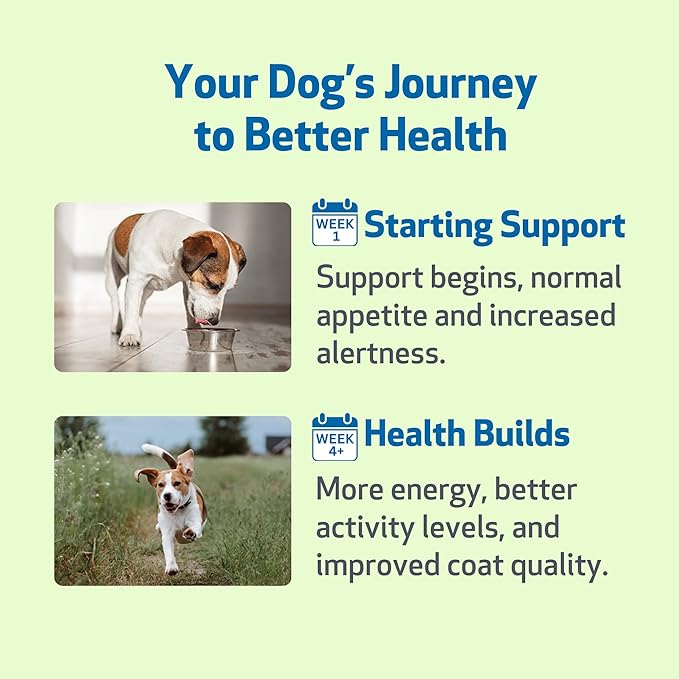 Pet Wellbeing Milk Thistle for Dogs - Image 6