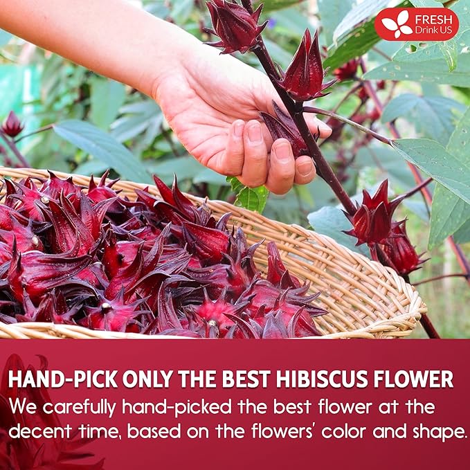 FreshDrinkUS, Premium 16oz Hibiscus Flower Powder, 100% Natural and Pure from - Image 6