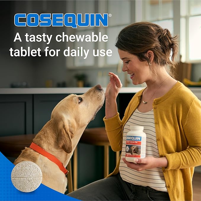 Nutramax Cosequin for Dogs Joint Health Supplement, Contains Glucosamine for - Image 5