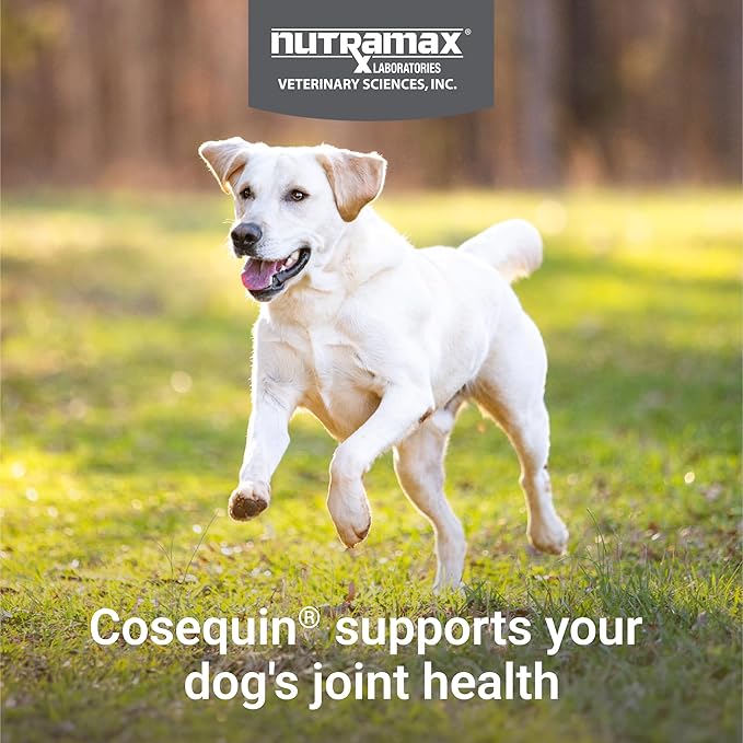 Nutramax Laboratories Cosequin Maximum Strength Joint Health Supplement - Image 3