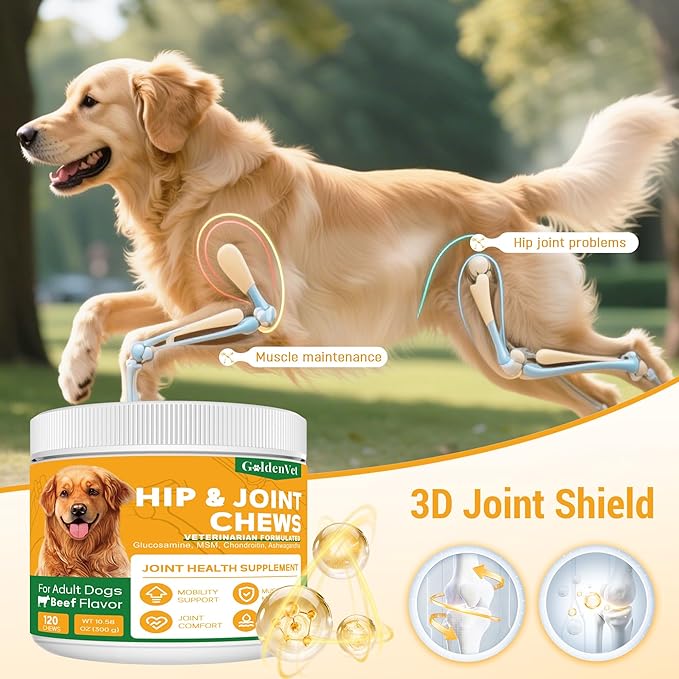 Hip and Joint Chews for Senior Dogs - Image 2