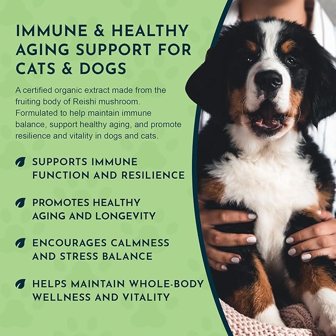 Animal Essentials LONGEVITY Reishi Mushroom Supplement - Image 6