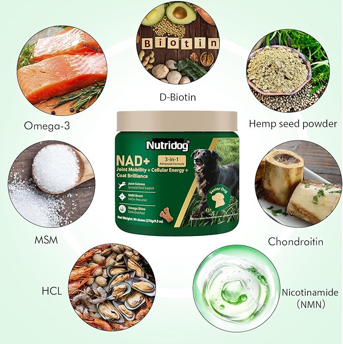 NMN Supplement for Dogs NAD+ Booster - Image 2
