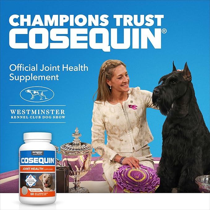 Nutramax Laboratories Cosequin Maximum Strength Joint Health Supplement - Image 2