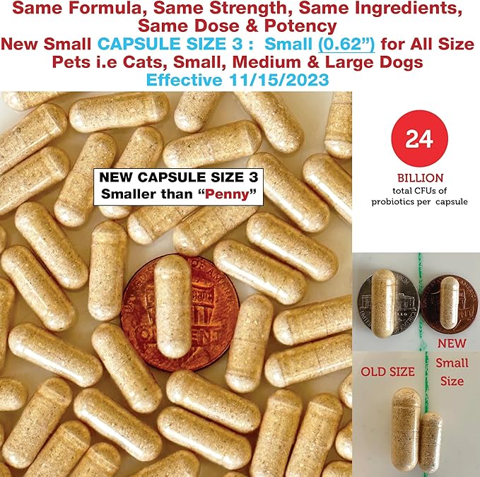 Azovast Plus Cat Kidney Support - Image 3