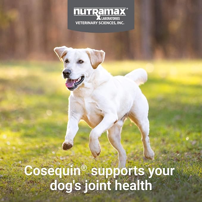 Nutramax Cosequin for Dogs Joint Health Supplement, Contains Glucosamine for - Image 2