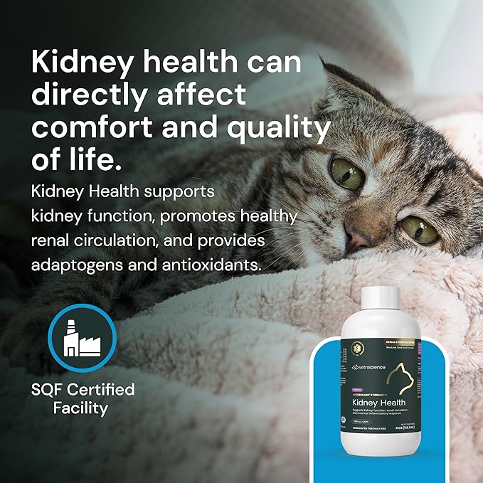 VetriScience Renal Essentials Pro Liquid - Image 7