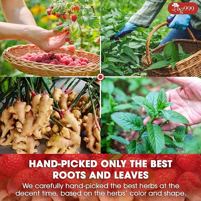 TOG999 Red Raspberry Leaves Tea Bags - Image 6